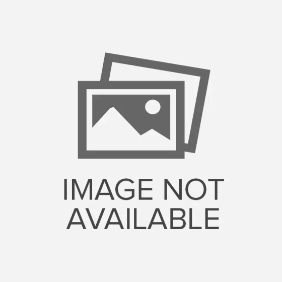 Lorem Ipsum hasd been the (1) (1) (1)